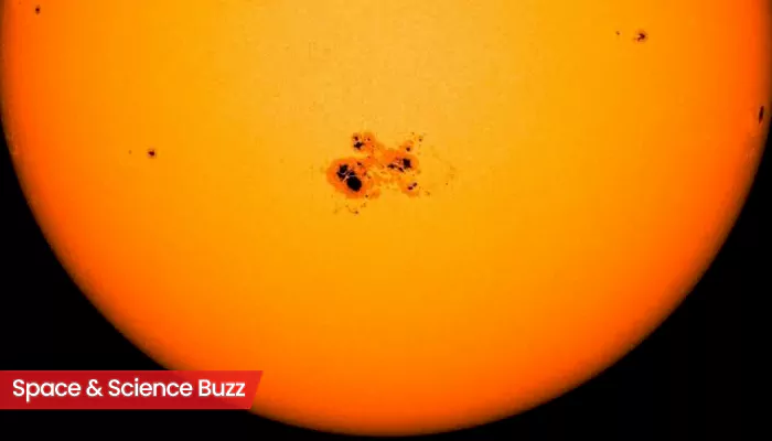 Science & Space Roundup: Top News of the Day (July 16)